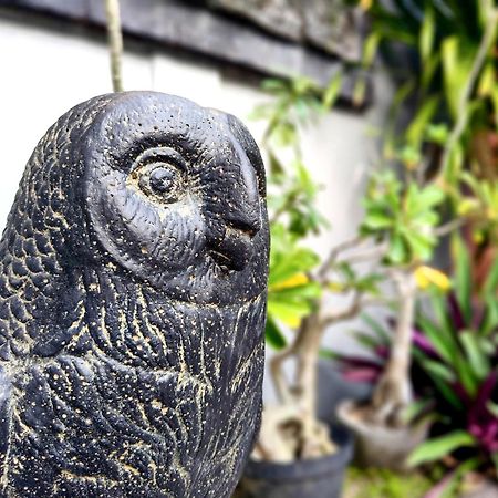 Panda Lumbung Bed & Breakfast Sanur  Ngoại thất bức ảnh