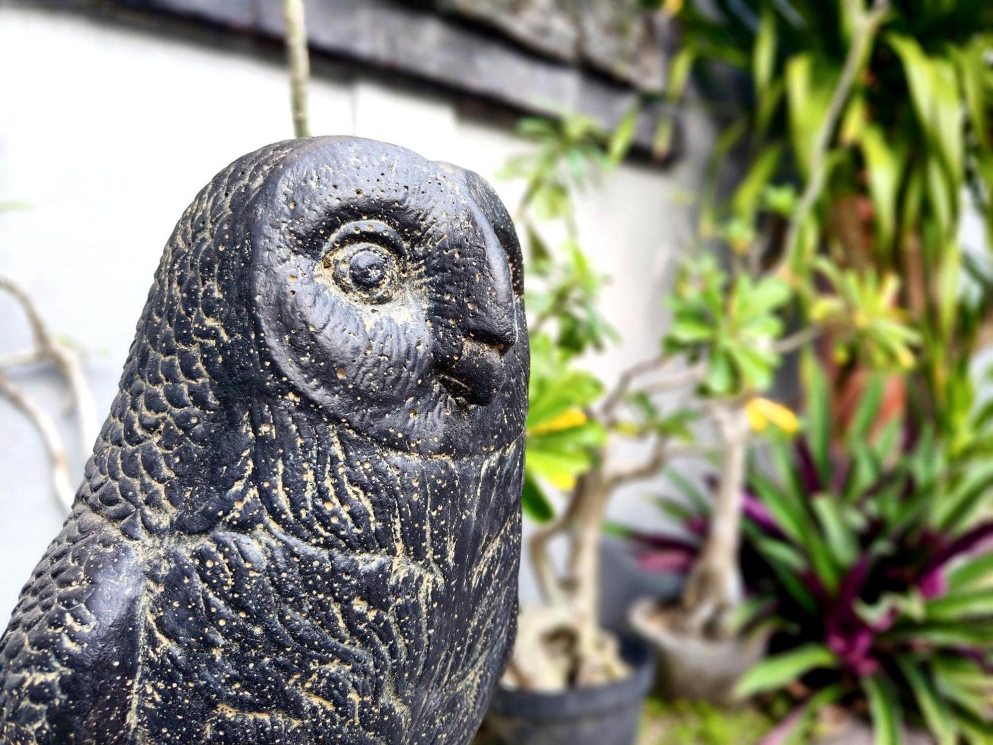 Panda Lumbung Bed & Breakfast Sanur  Ngoại thất bức ảnh