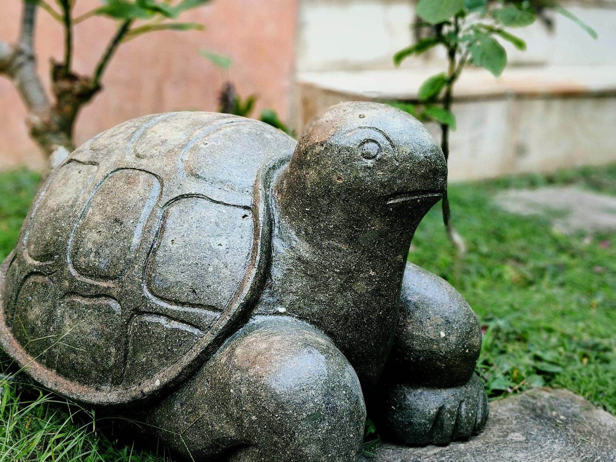 Panda Lumbung Bed & Breakfast Sanur  Ngoại thất bức ảnh